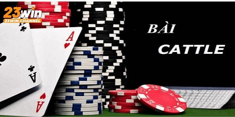 Luật chơi game bài Catte chi tiết